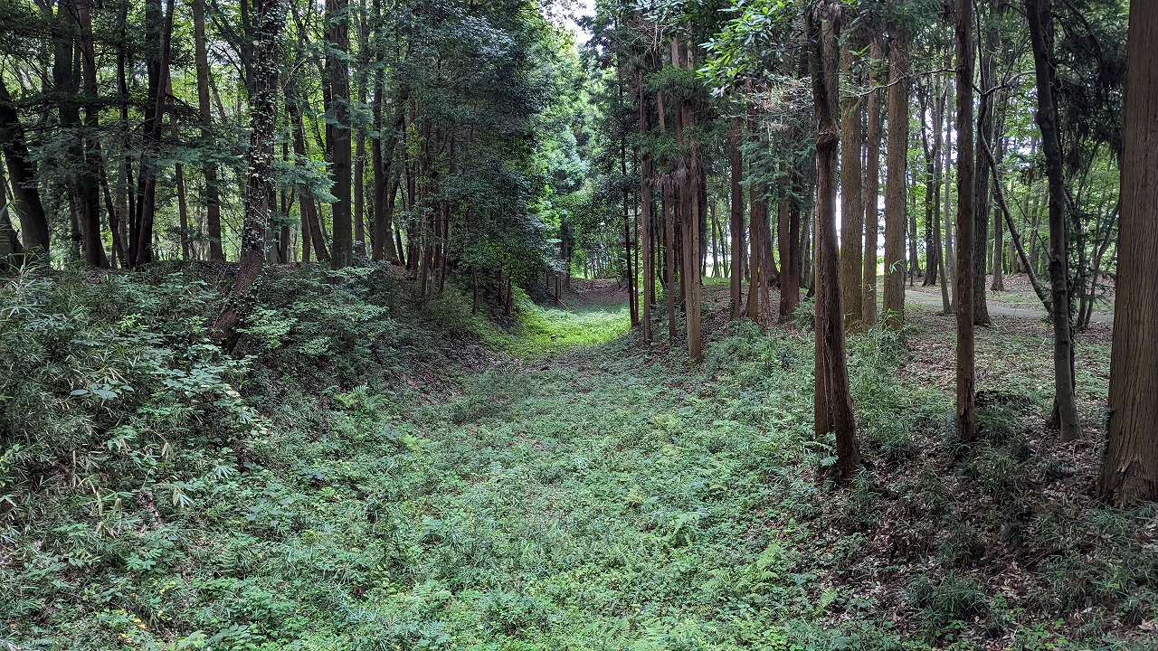 飛山城跡 の写真