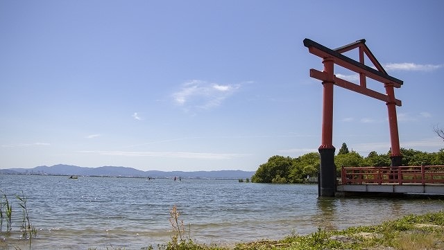 坂本城址公園 の写真