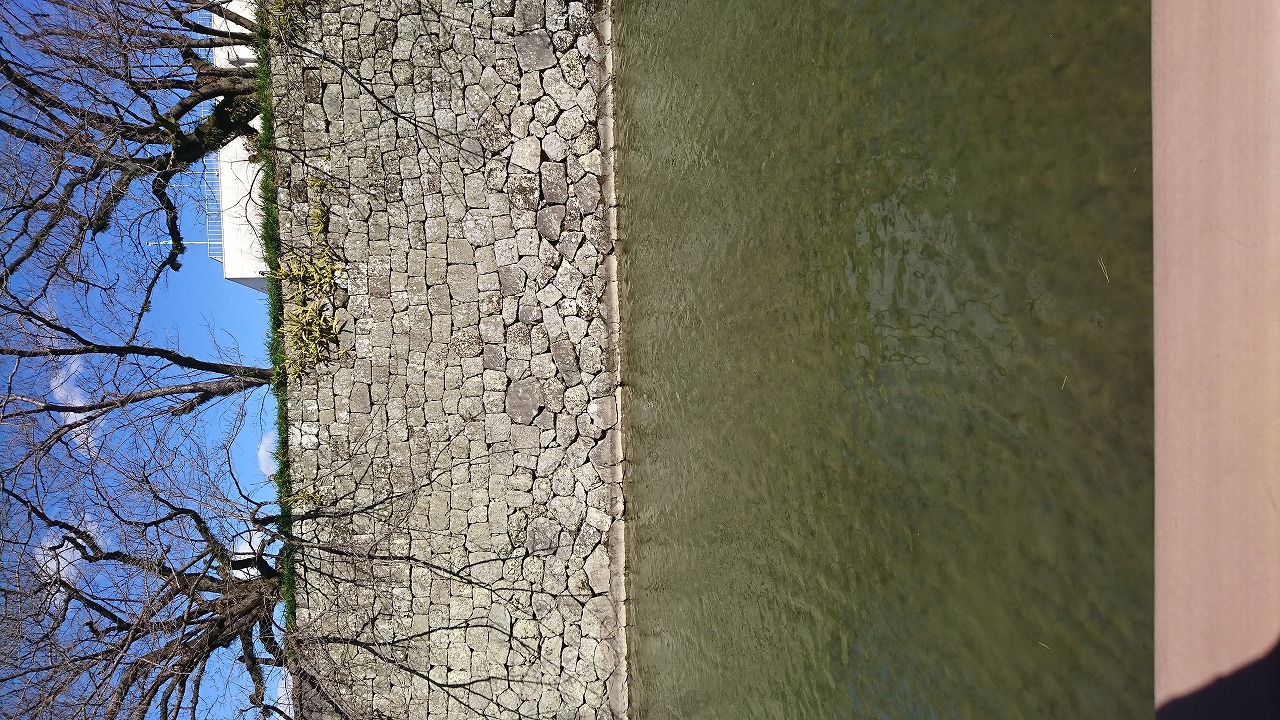 駿府城（駿府城公園） の写真