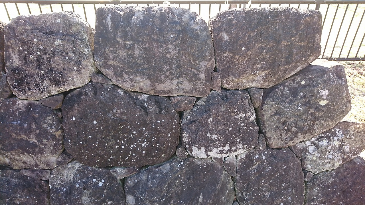 駿府城（駿府城公園） の写真