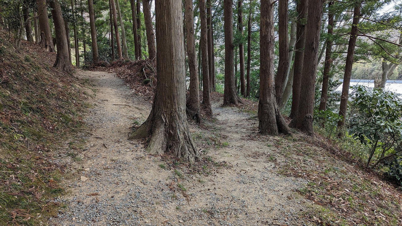 三春城跡 の写真