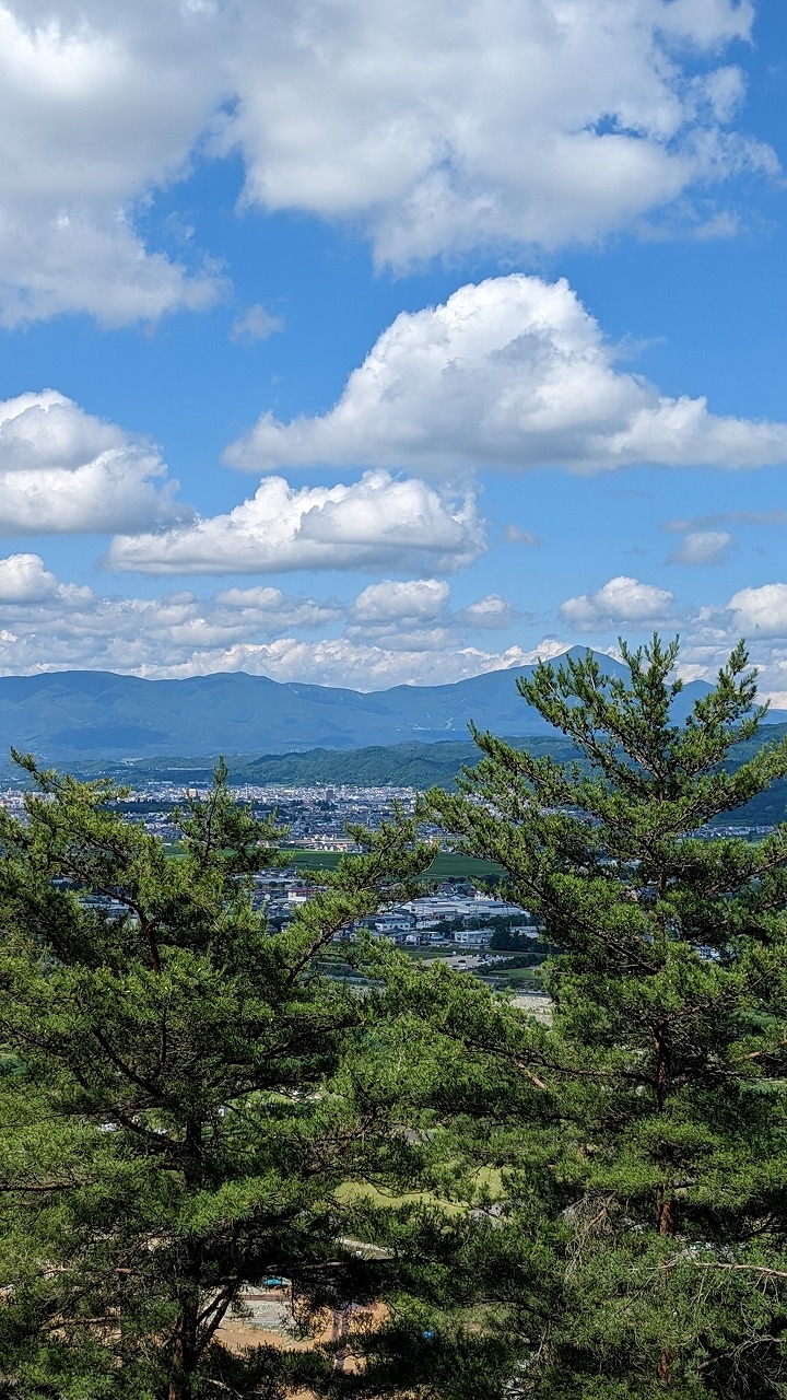 向羽黒山城跡 の写真