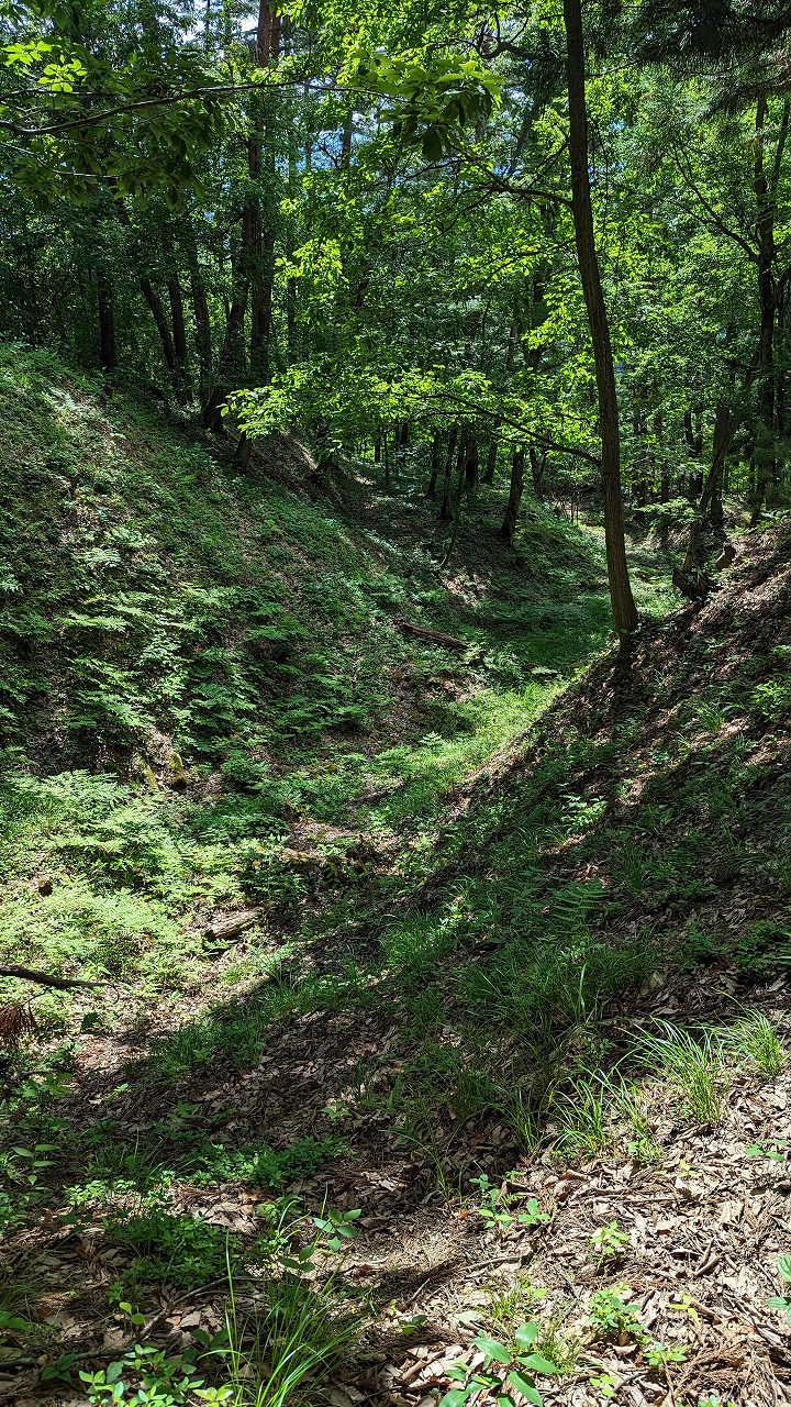 向羽黒山城跡 の写真