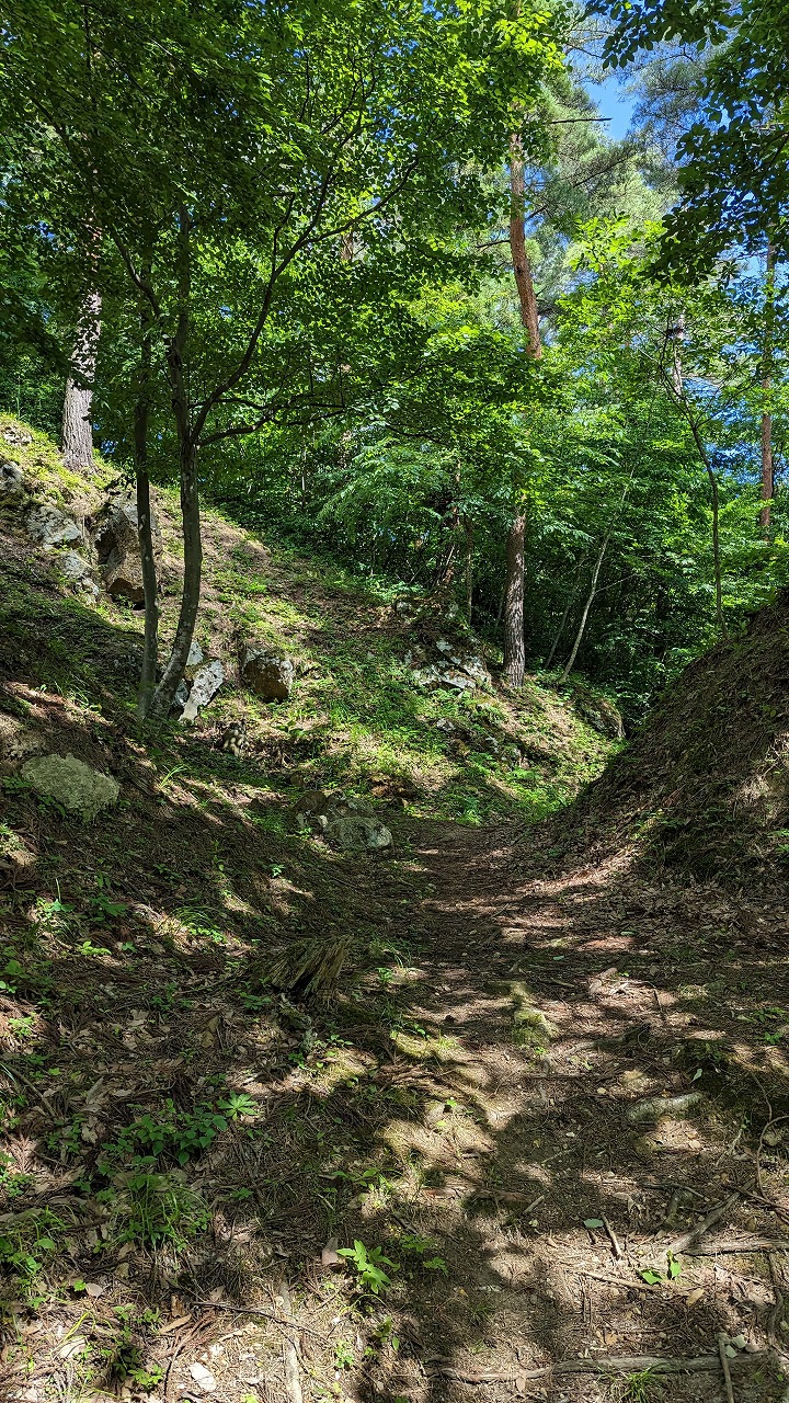 向羽黒山城跡 の写真