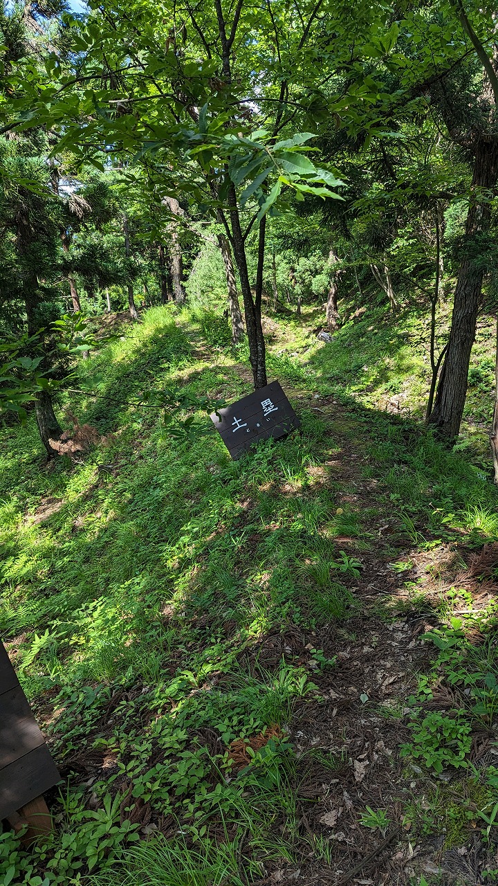 向羽黒山城跡 の写真