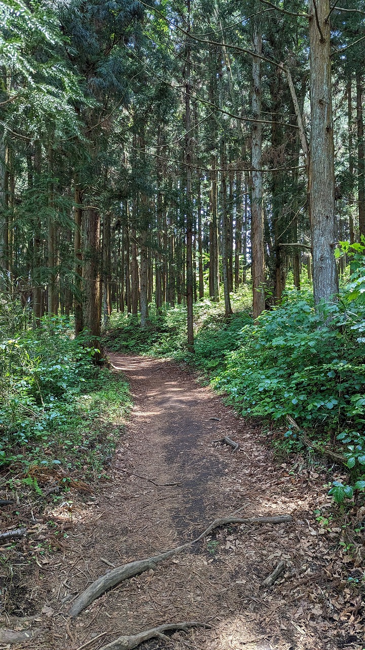 岩櫃城跡 の写真