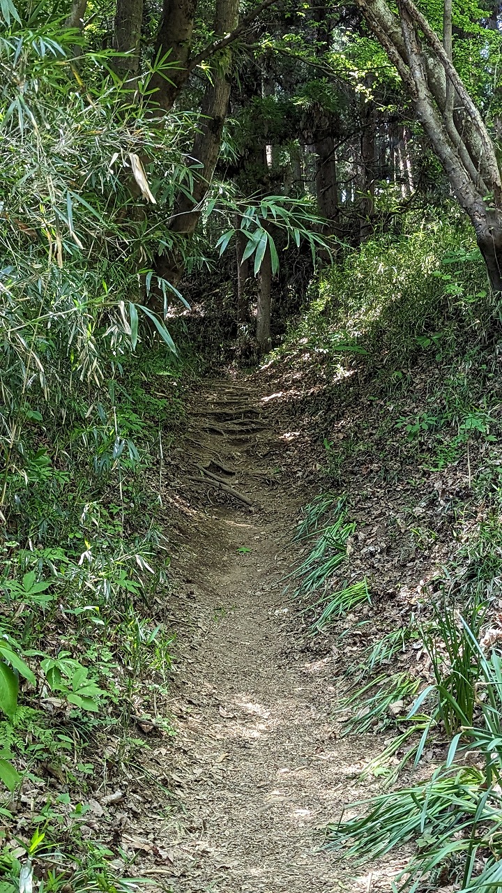 岩櫃城跡 の写真