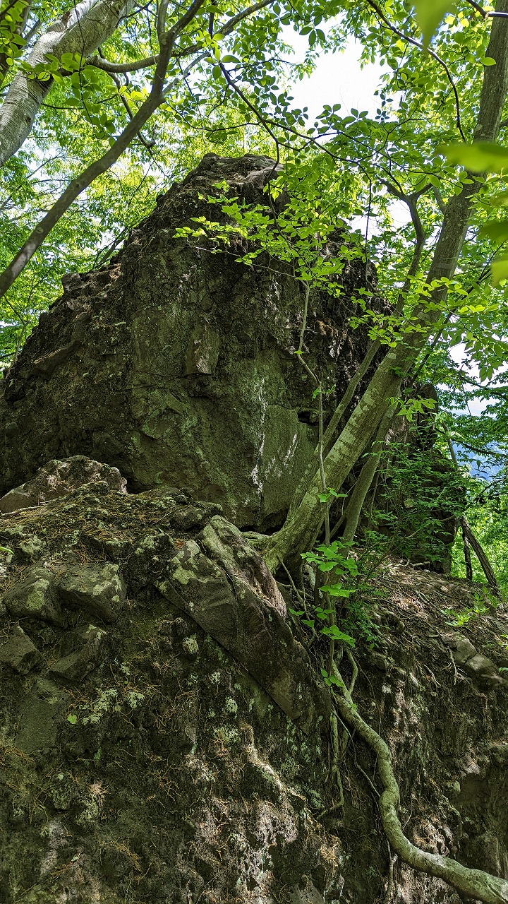 岩櫃城跡 の写真