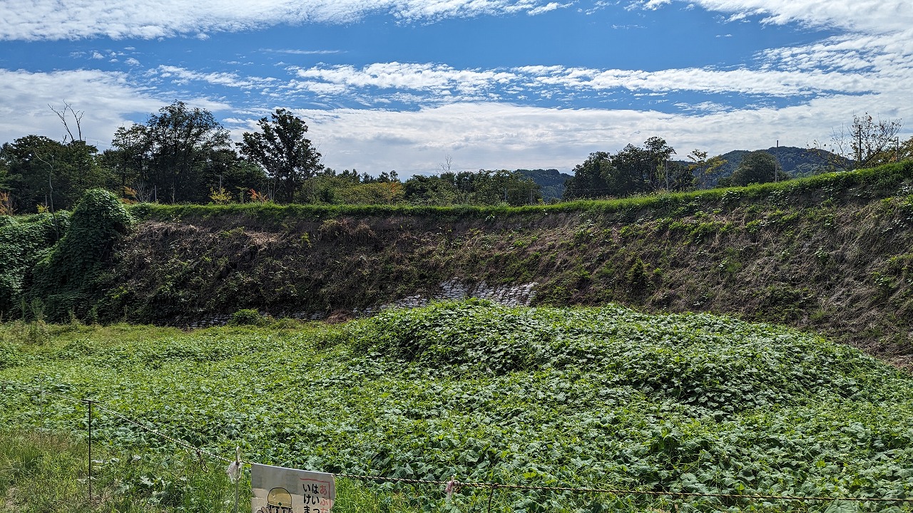 九戸城跡 の写真