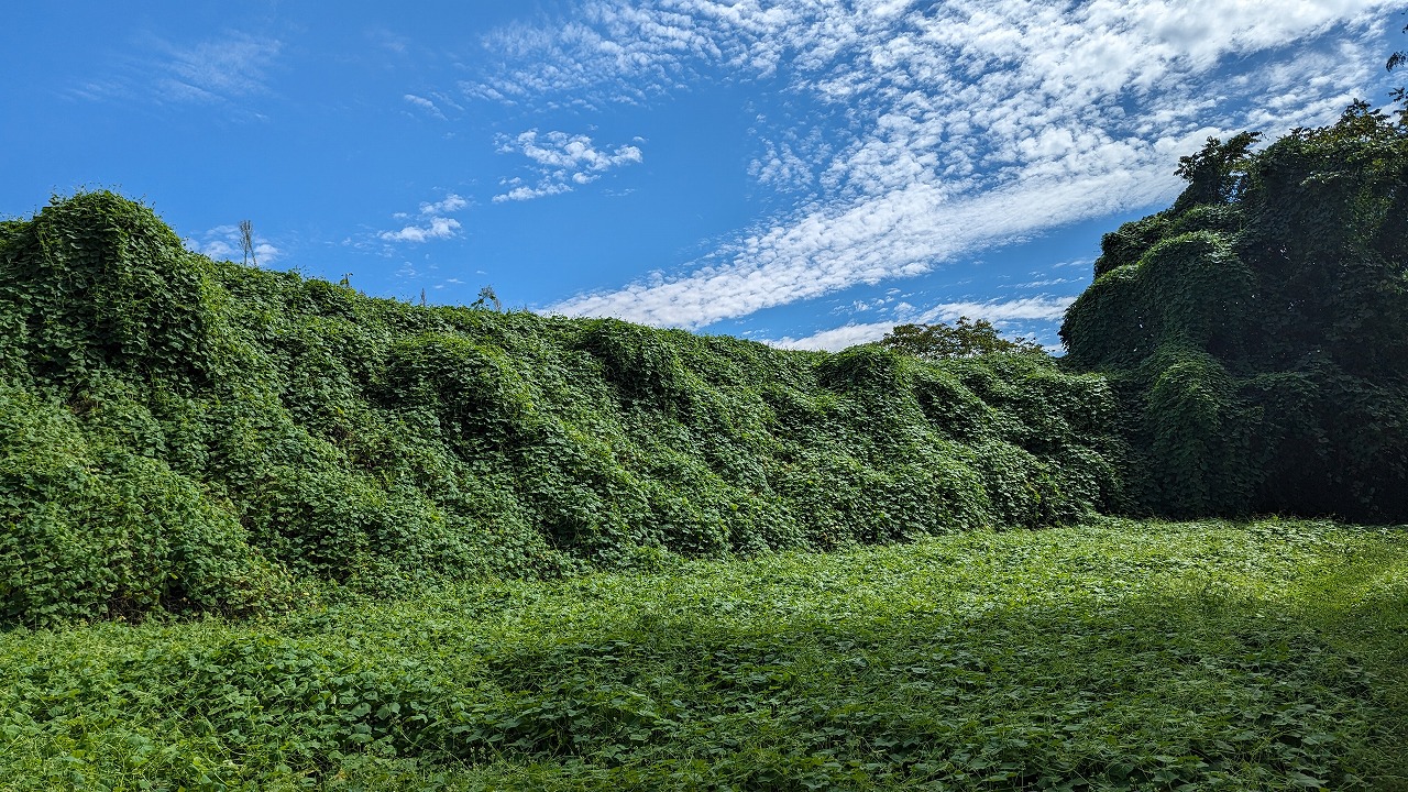 九戸城跡 の写真