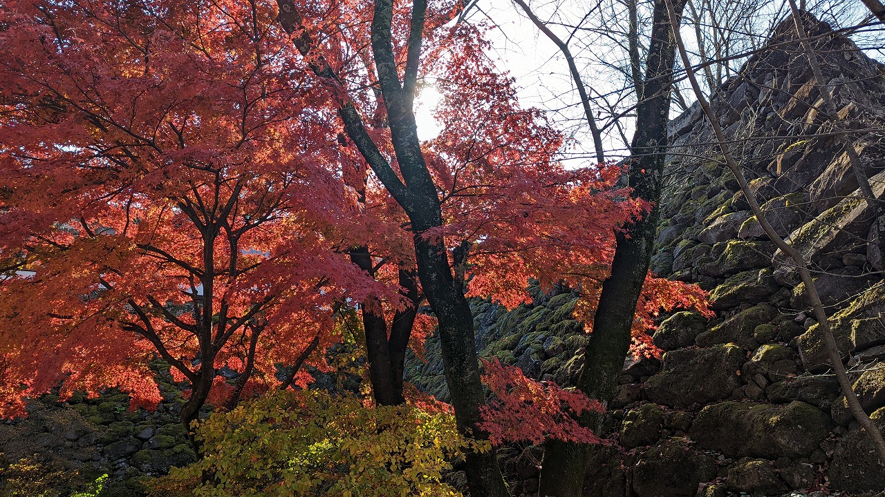 小諸城址（懐古園） の写真