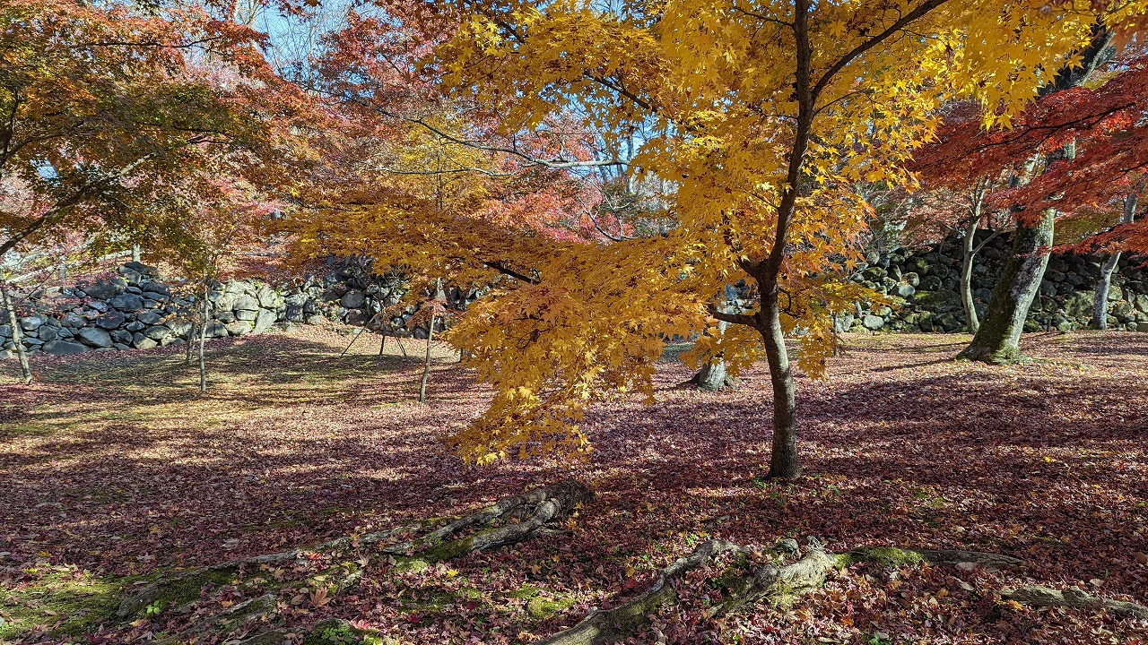 小諸城址（懐古園） の写真