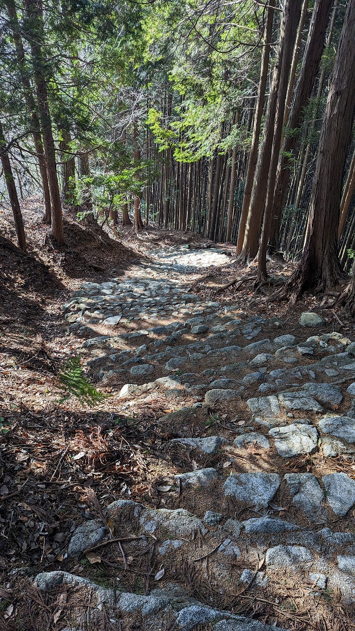 千早城跡 の写真