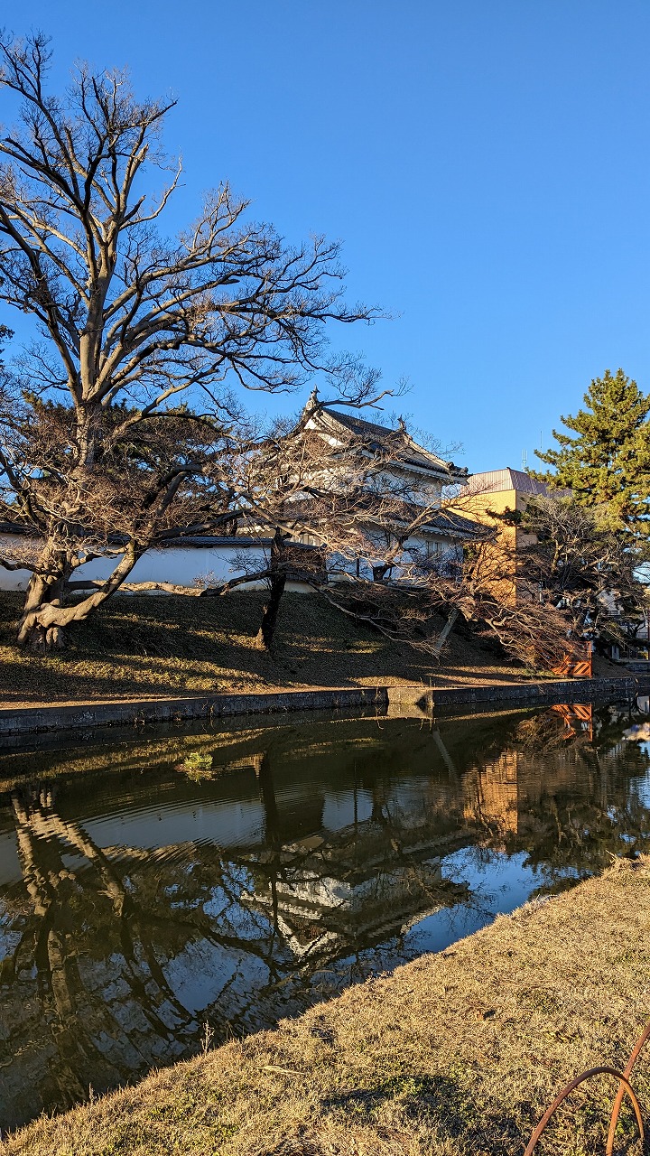 土浦城跡（亀城公園）の写真