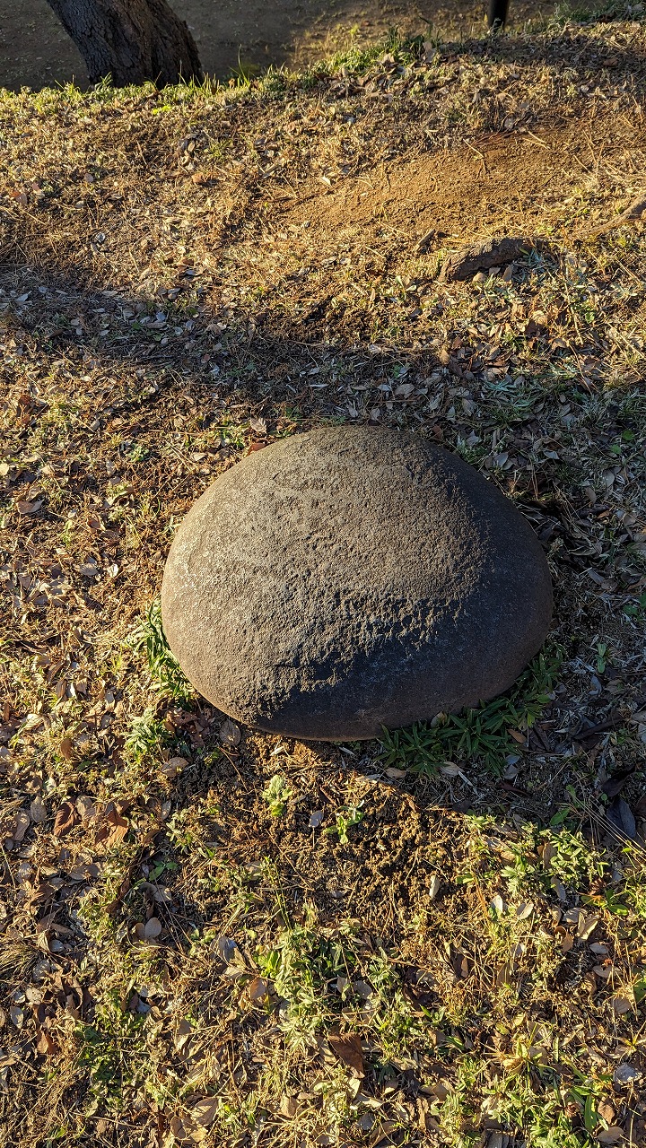 土浦城跡（亀城公園）の写真