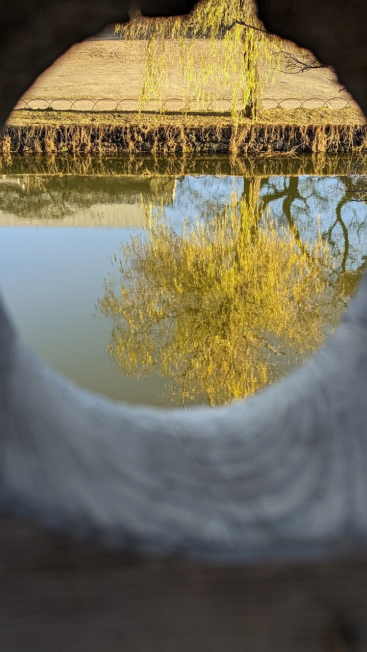 土浦城跡（亀城公園）の写真