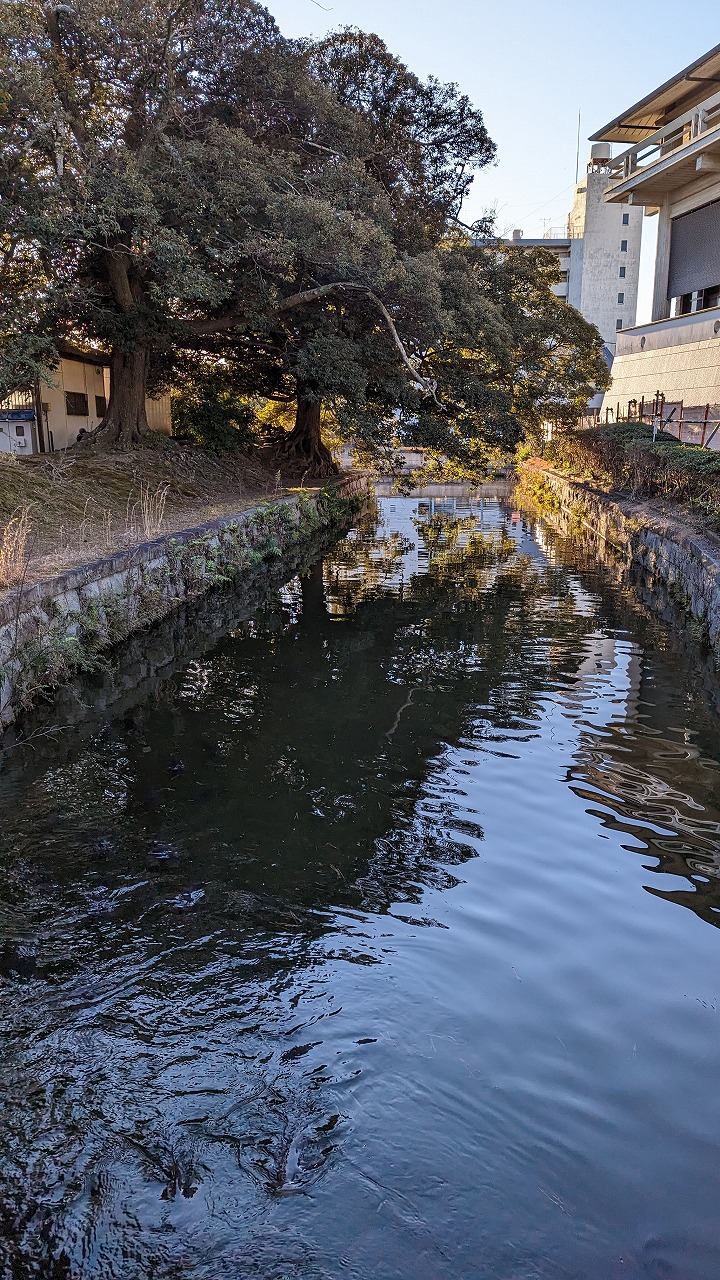 土浦城跡（亀城公園）の写真