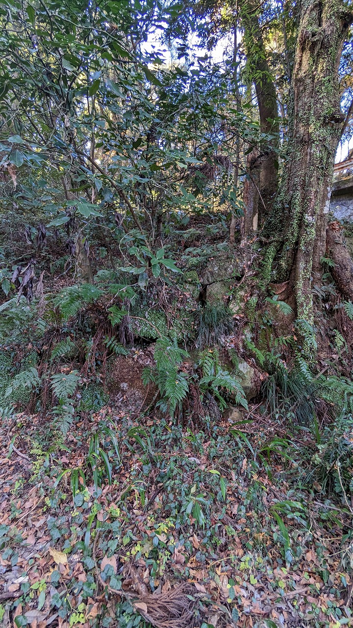 笠間城跡の写真