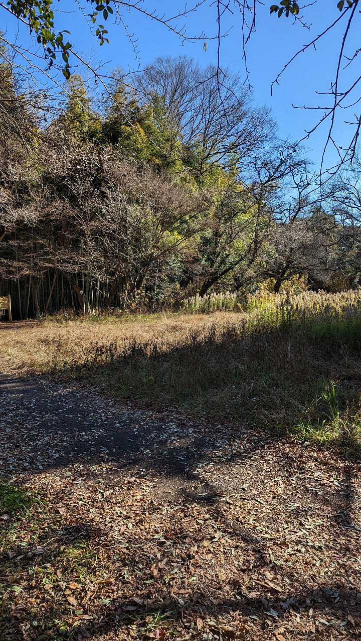 笠間城跡の写真