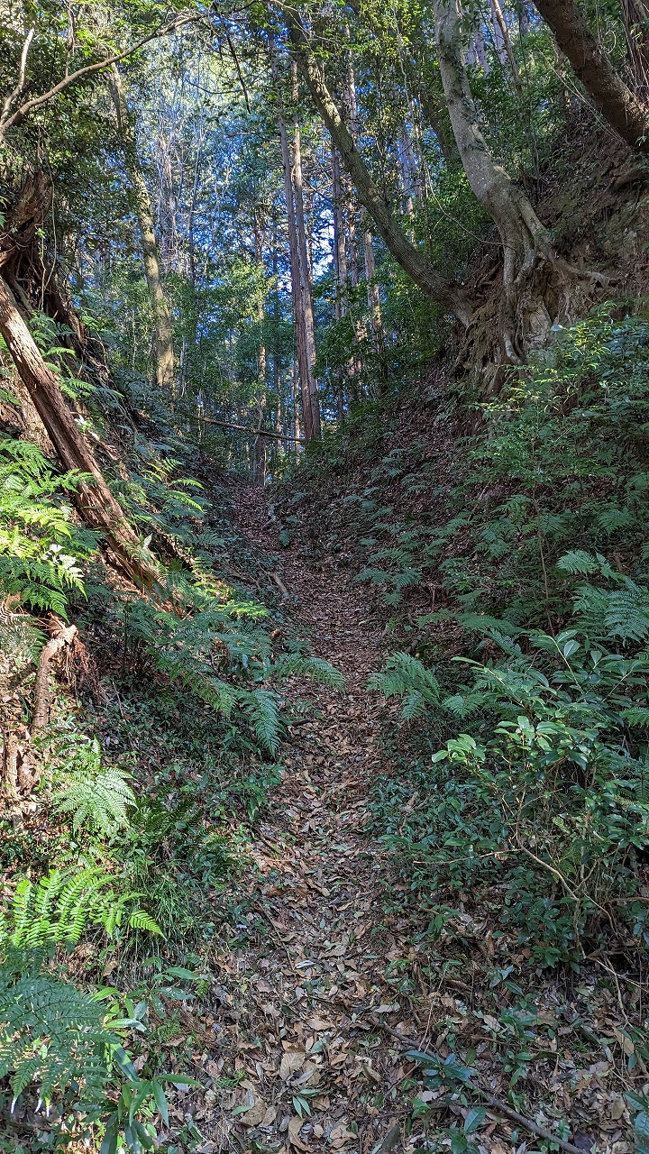 笠間城跡の写真